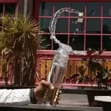 Golden Line Transparent Fridge Bottle 3